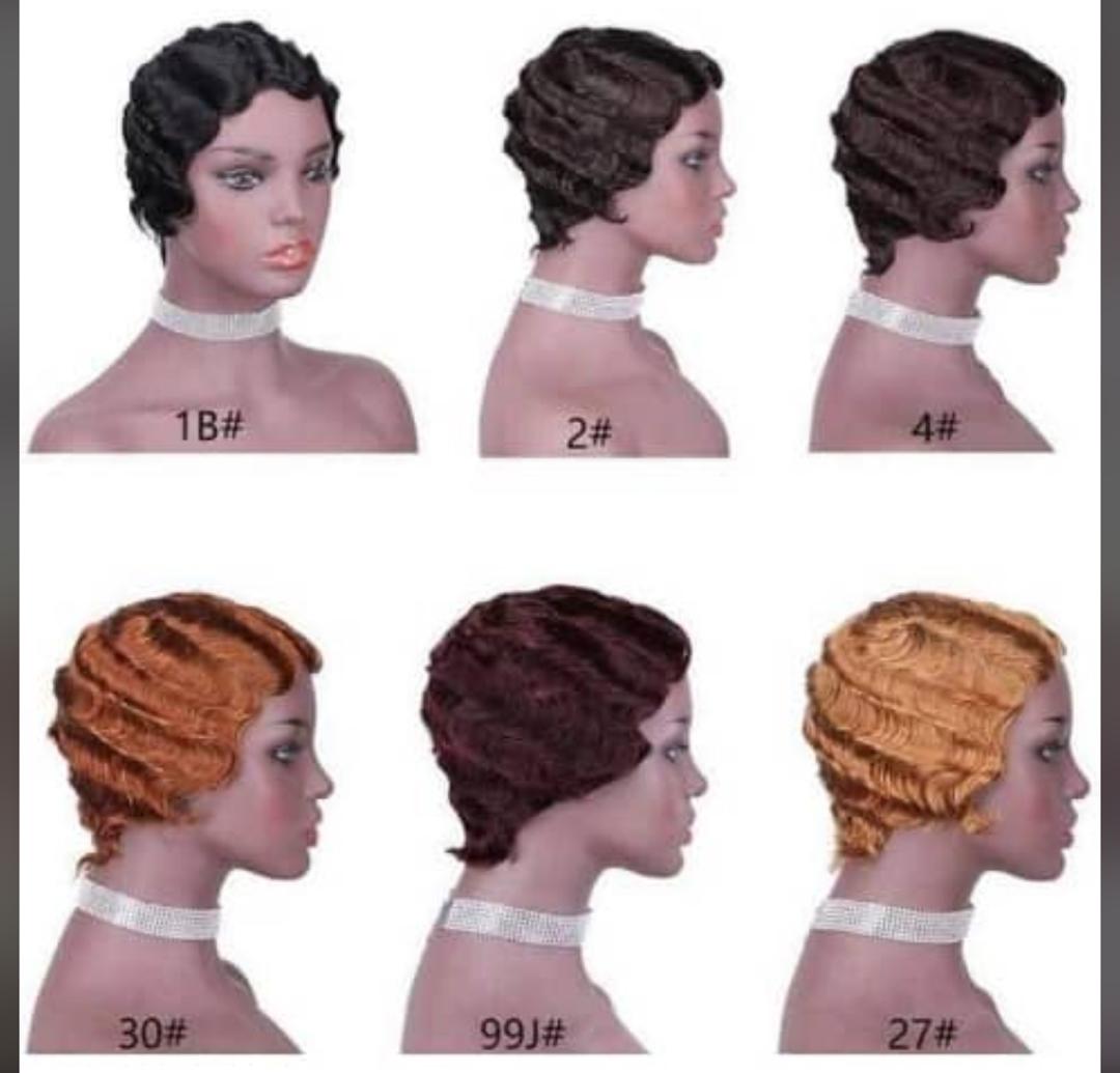 Classic Lawyer Cap Wig